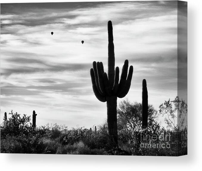 Saguaro Cactus Canvas Print featuring the photograph Saguaro Cactus with Hot Air Balloons by Tamara Becker