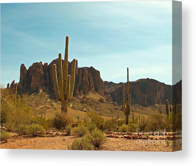 Wall Art Canvas Print featuring the photograph Saguaros at Superstition Mountain by Kelly Holm