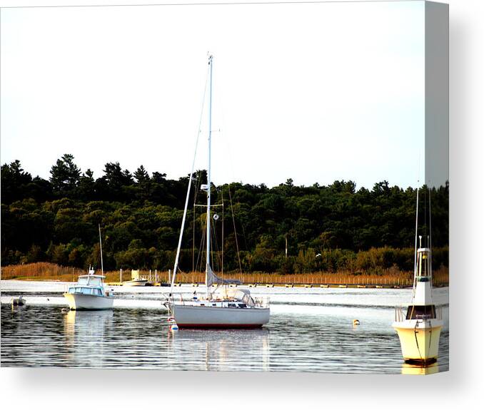 Sail Boat Canvas Print featuring the photograph Sail Boat at Anchor by Bruce Gannon