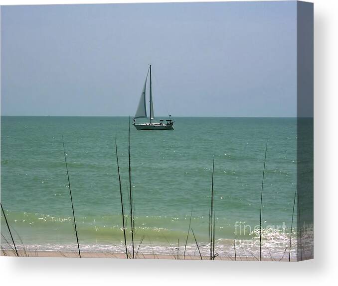 Boat Canvas Print featuring the photograph Sailing in the Gulf by D Hackett