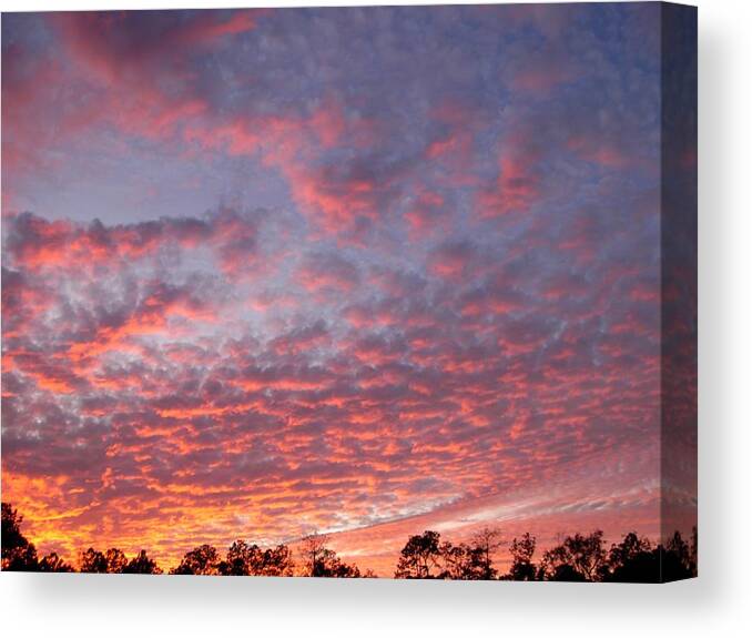 Salmon Cloud Formations At Sunset Canvas Print featuring the photograph Salmon Sunset by Jeanne Juhos