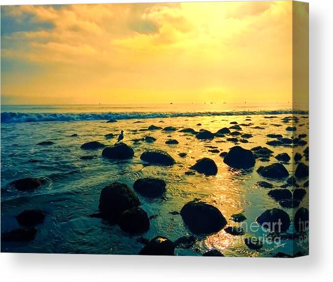Photo Canvas Print featuring the photograph Santa Barbara California Ocean Sunset by Alicia Hollinger