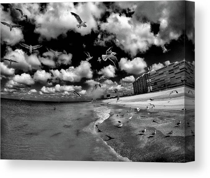 Ocean Canvas Print featuring the photograph Seagulls by Kevin Cable