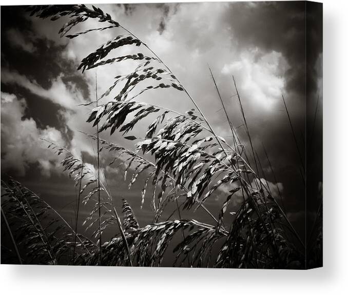 Seaside Canvas Print featuring the photograph Seaside by Jessica Brawley