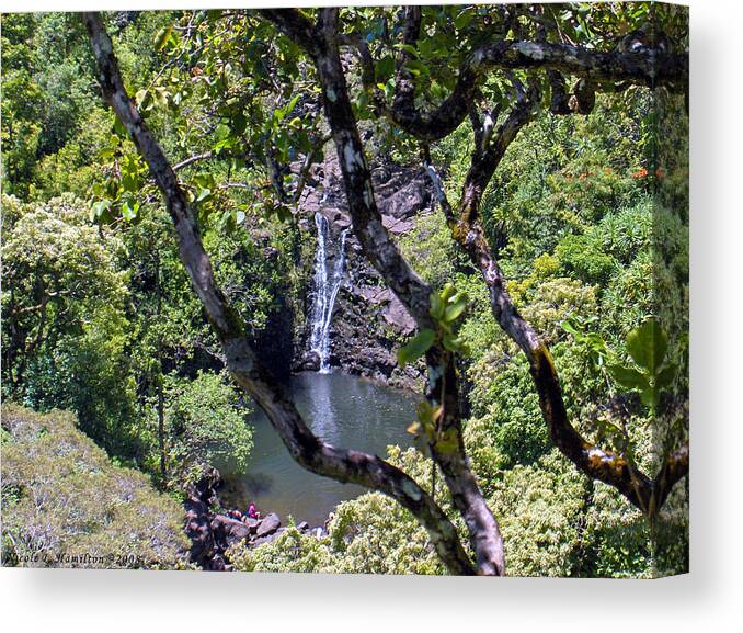 Water Fall Canvas Print featuring the photograph Secluded Falls by Nicole I Hamilton
