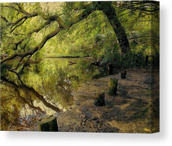 Swamp Canvas Print featuring the photograph Secluded Sanctuary by Sherry Kuhlkin