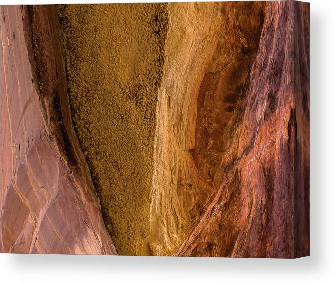 Desert Canvas Print featuring the photograph Sedona Canyon Abstract by Jessica Giannone