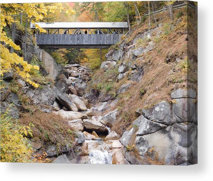 Sentinel Pine Canvas Print featuring the photograph Sentinel Pine Covered Bridge by Catherine Gagne