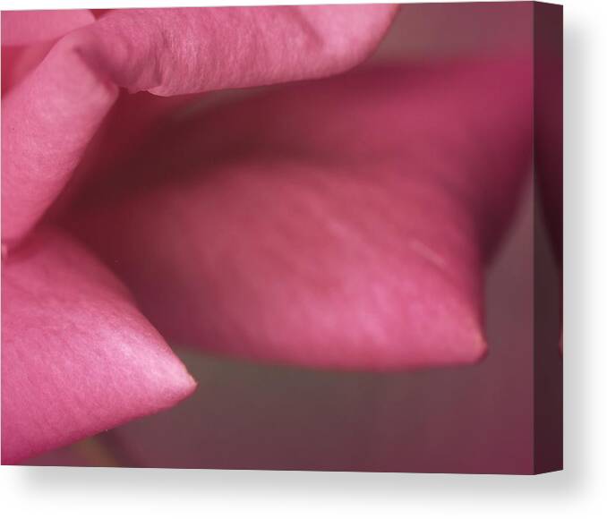  Canvas Print featuring the photograph Sera... by The Art Of Marilyn Ridoutt-Greene