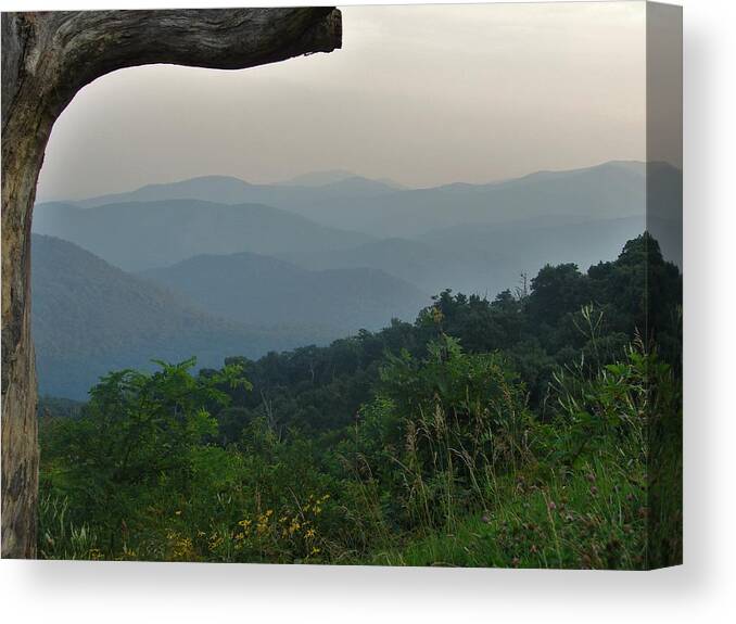 Landscape Canvas Print featuring the photograph Shenandoah Valley by Carl Moore