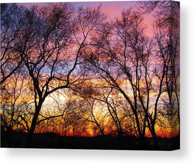 Photograph Canvas Print featuring the photograph Silhouette Sunset 43017 by Delynn Addams