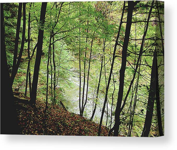 Spring Canvas Print featuring the photograph Silhouetted Trees by Linda Carruth