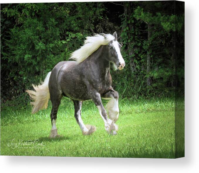 Horse Canvas Print featuring the photograph SIlver Reign Just Dazzling by Terry Kirkland Cook