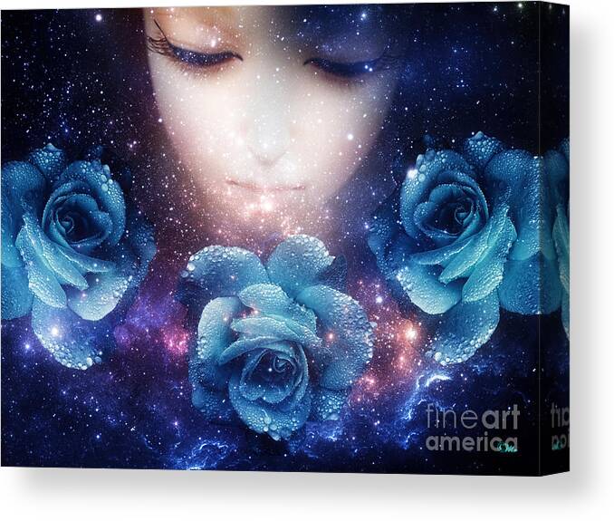 Sleeping Rose Canvas Print featuring the digital art Sleeping Rose by Mo T