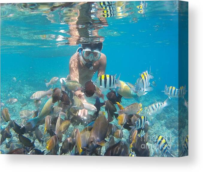 Snorkeling Canvas Print featuring the photograph Snorkeling by Andy Maryanto