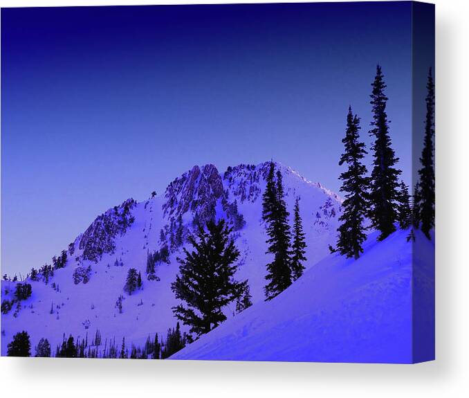 Snowbasins Lone Tree Chute Canvas Print featuring the photograph Snowbasin by Raymond Salani III