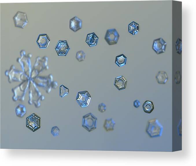 Snowflake Canvas Print featuring the photograph Snowflake photo - Ice dust II by Alexey Kljatov