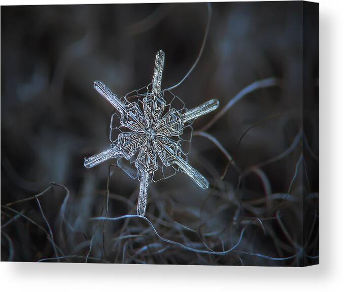 Snowflake Canvas Print featuring the photograph Snowflake photo - Steering wheel by Alexey Kljatov