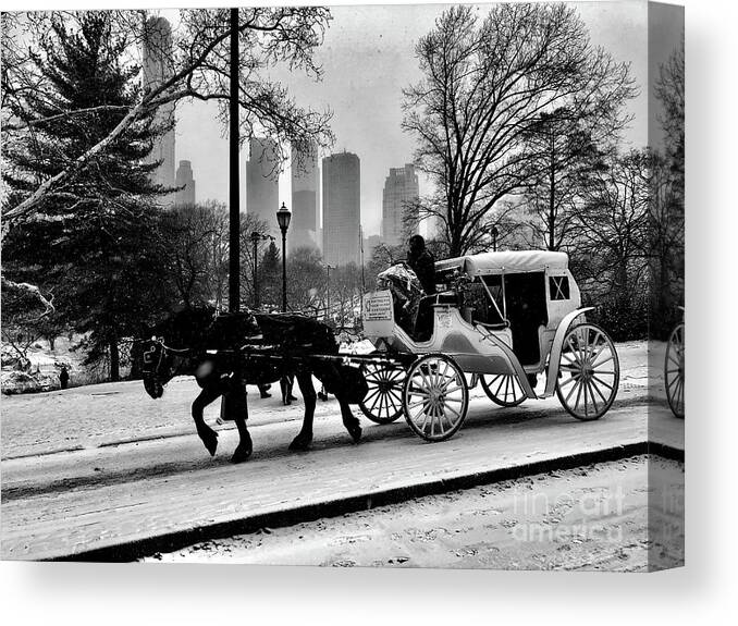 Horse And Buggy Canvas Print featuring the photograph Snowy Ride by Dennis Richardson