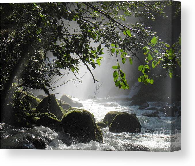 River Falls Rocks Moss Trees Leaves Water Light Shadow Green White Grey Black Brown Mist Branches Foam Shiny Landscape Sunlight Canvas Print featuring the photograph Solace by Ida Eriksen