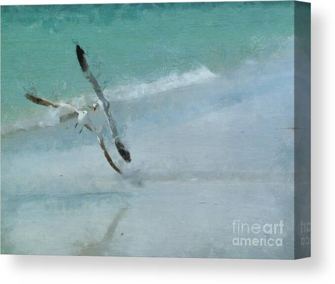 Seagulls Canvas Print featuring the photograph Sound of Seagulls by Claire Bull