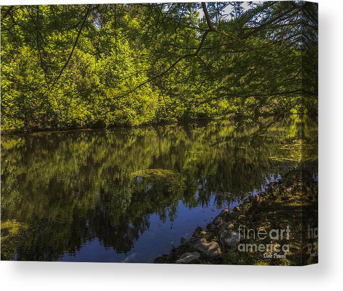 Pond Canvas Print featuring the photograph Southern Still Waters by Dale Powell