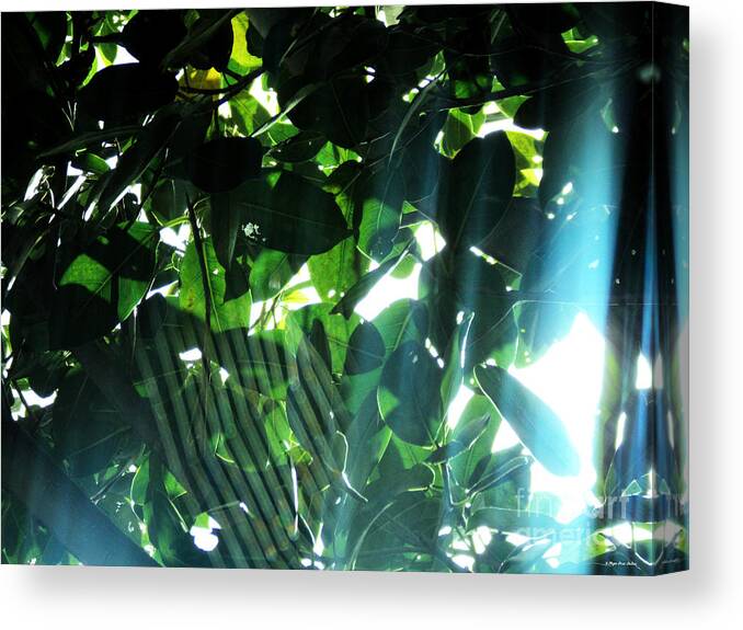 Cobwebs Canvas Print featuring the photograph Spider Phenomena by Megan Dirsa-DuBois