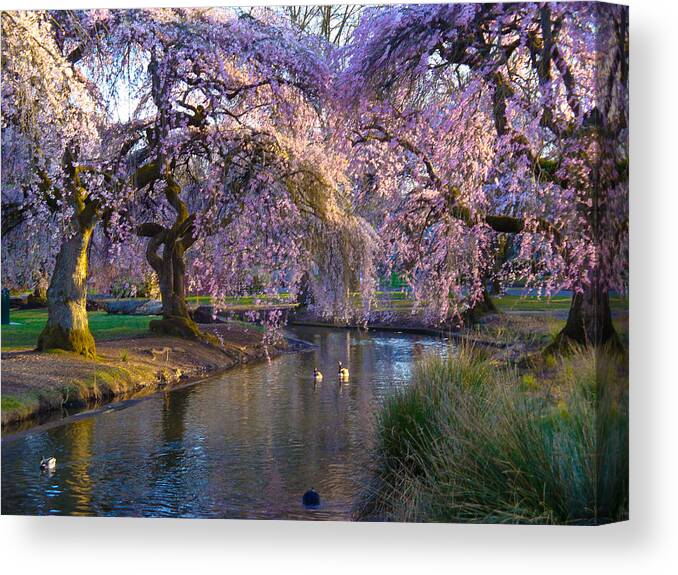 Spring Canvas Print featuring the photograph Spring in Portland by Craig Perry-Ollila