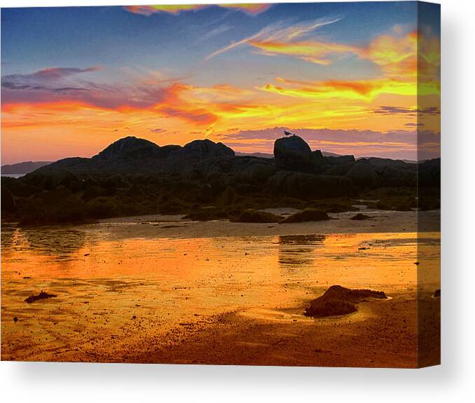 Birds Canvas Print featuring the photograph Standing Guard by Mark Egerton