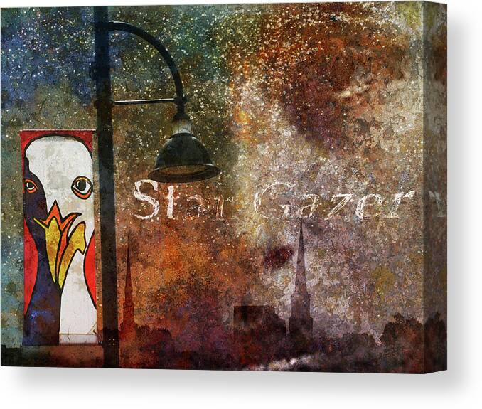 Sky Canvas Print featuring the photograph Star Gazer by Ed Hall