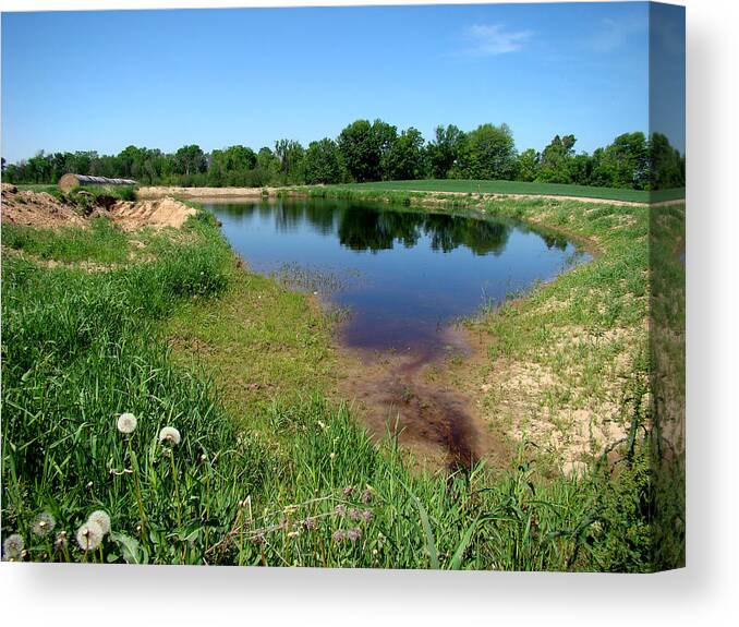 Landscape Canvas Print featuring the photograph Still Pond Reflections by Todd Zabel