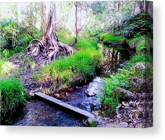 Landscape Canvas Print featuring the photograph Stream Crossing by Michael Blaine