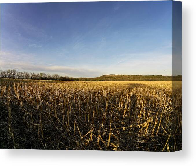 Kansas Canvas Print featuring the photograph Stubble Field by William Moore
