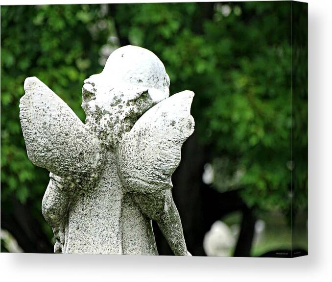Stubby Little Wings Canvas Print featuring the photograph Stubby Little Wings by Dark Whimsy