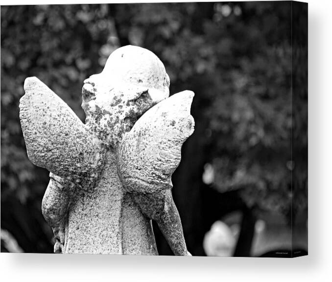 Stubby Little Wings Bw Canvas Print featuring the photograph Stubby Little Wings BW by Dark Whimsy