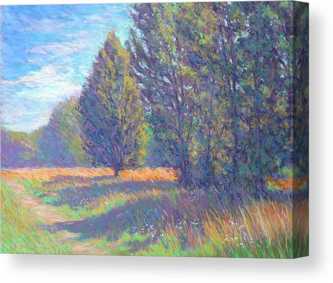 Impressionist Canvas Print featuring the painting Summer Shadows by Michael Camp