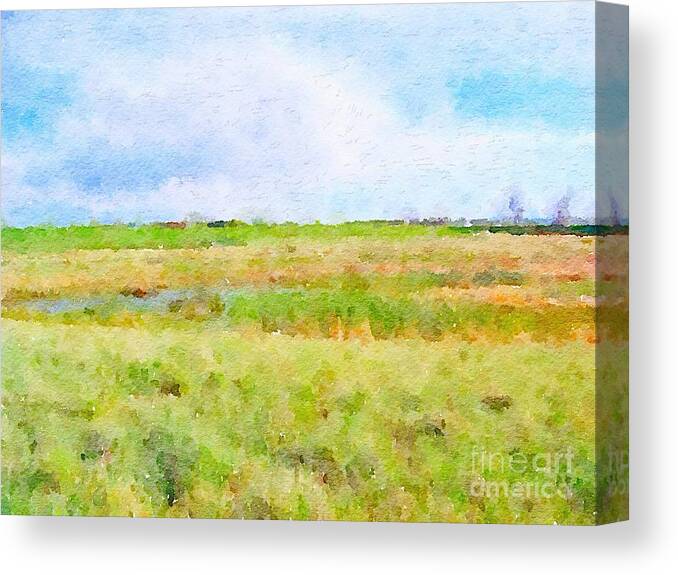 South Canvas Print featuring the painting Summer Southern Field by Joe Roache