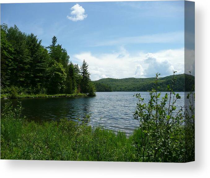 Lake Canvas Print featuring the photograph Summer Treasure by Dmytro Toptygin