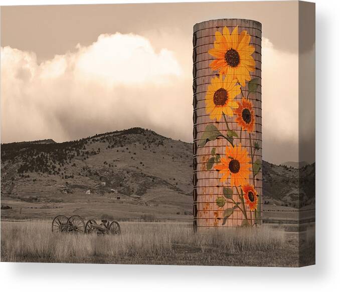 Sunflowers Canvas Print featuring the photograph Sunflower Silo in Boulder County Colorado Sepia Color Print by James BO Insogna