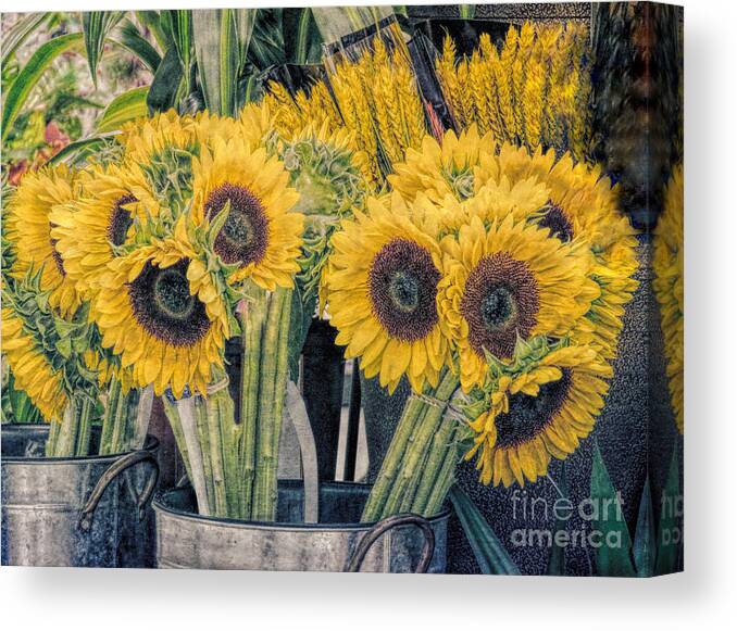 Sunflowers Canvas Print featuring the photograph Sunflowers for Sale by Janice Drew