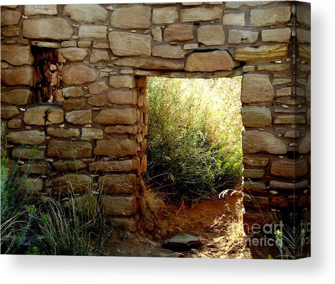 Lowry Ruin Canvas Print featuring the digital art Sunlit door and lizard by Annie Gibbons