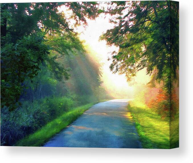 Sunny Trail Canvas Print featuring the photograph Sunny Trail by Cedric Hampton