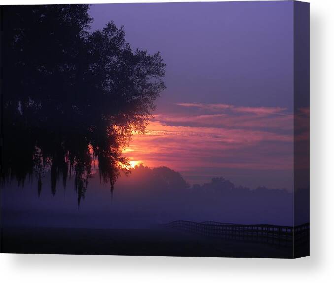 Sunrise And Fog Canvas Print featuring the photograph Sunrise and Fog by Warren Thompson