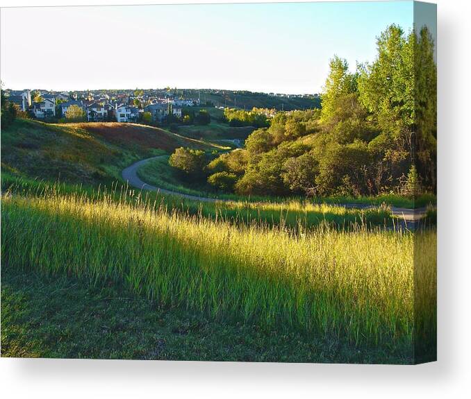 Mansour Canvas Print featuring the photograph Sunrise at Edgemont by Mansour Zadrafie