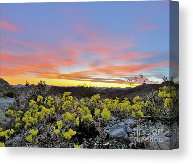 Sunset Canvas Print featuring the photograph Sunset and Primrose by Michele Penner