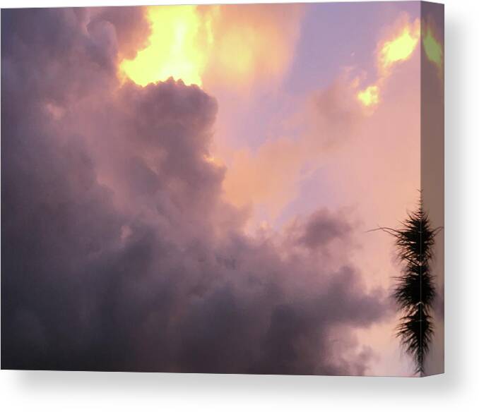 Sunset Canvas Print featuring the photograph Sunset in Paradise #2 by Susan Grunin