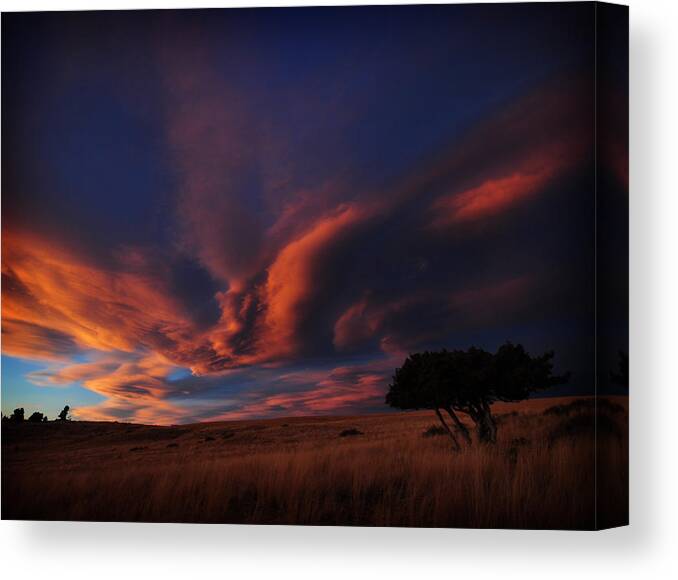 Mountain Canvas Print featuring the photograph Sunset Plains by Jedediah Hohf