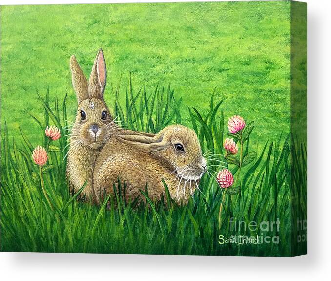 Surprised Canvas Print featuring the painting Surprised by Sarah Irland