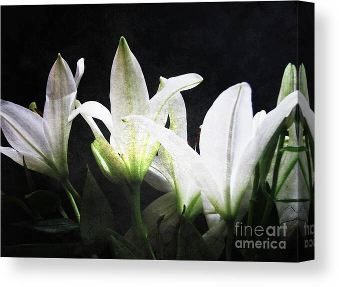  Canvas Print featuring the photograph Symphony by Jessica S