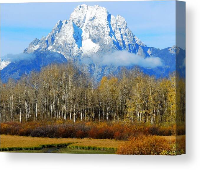 Mountains Canvas Print featuring the photograph Teton Fall by Charlotte Schafer